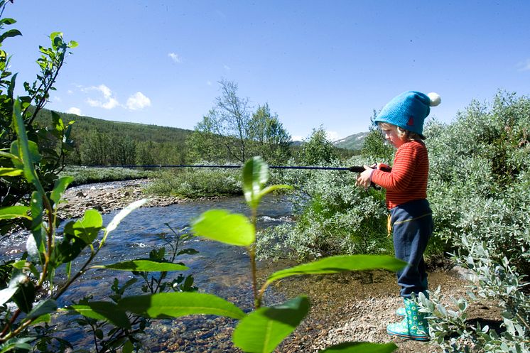 Hemsedal sommar vandring