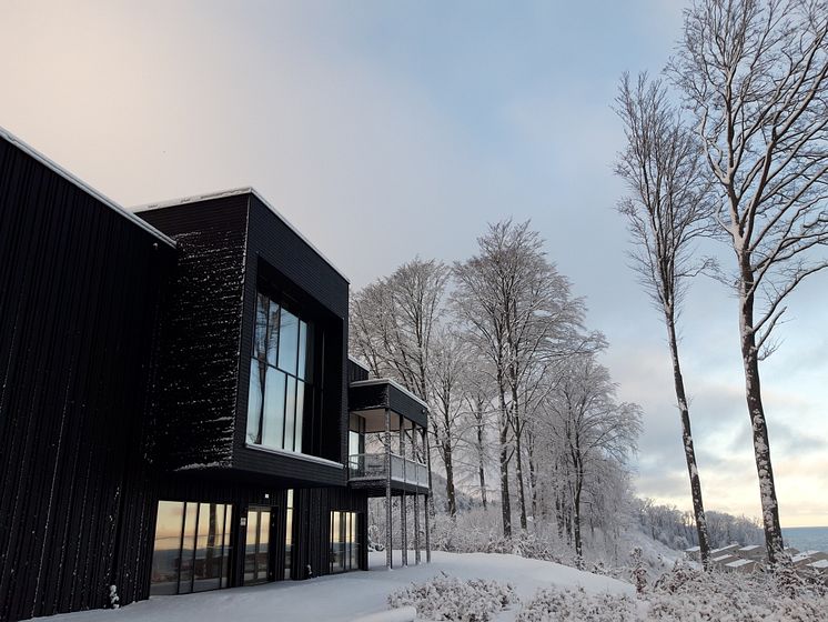 vinter2