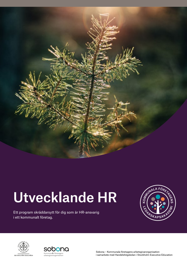 Programblad_Utvecklande_HR.pdf