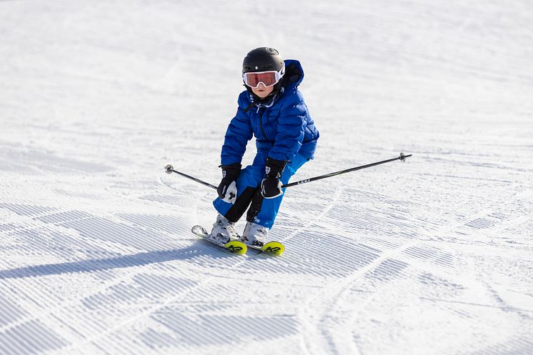 Mini masterclasses in alpine skiing in Norway - online
