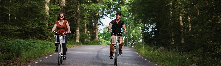 Cykla i Åsnenområdet