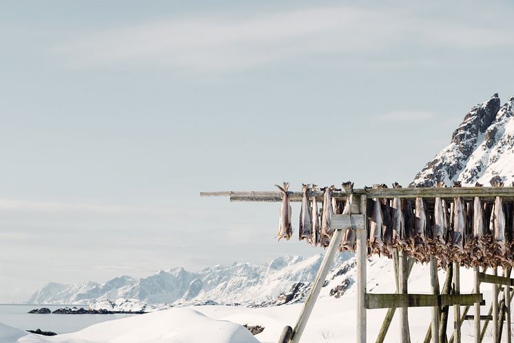 Norwegian Stockfish 1 - NSC and Kristoffer Lorentzen