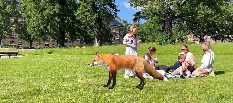 Mysteriet i parken - Picknick