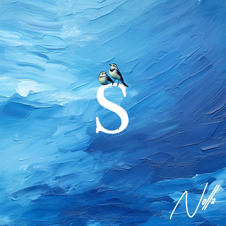 noll2_Sädesärlor_final