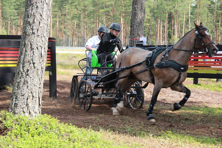 Nordiska Mästerskapen i körning