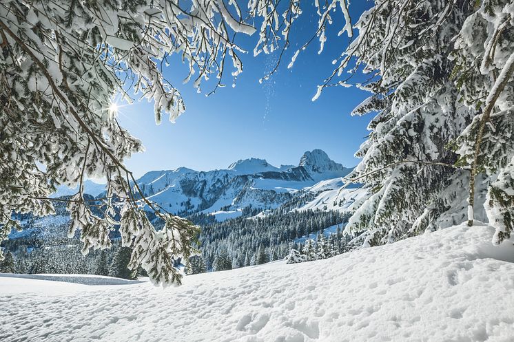 Verschneite Landschaft auf dem Gurnigel und Gantrisch im Berner Oberland 
