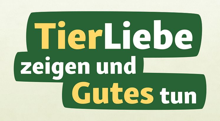 Freundschafts-Anhaenger