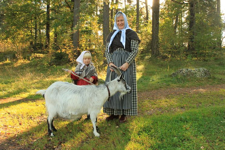 Höstfest 2 Vallby friluftsmuseum