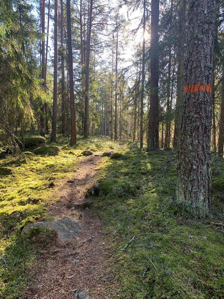 Bruksleden. Foto Urban Dimberg