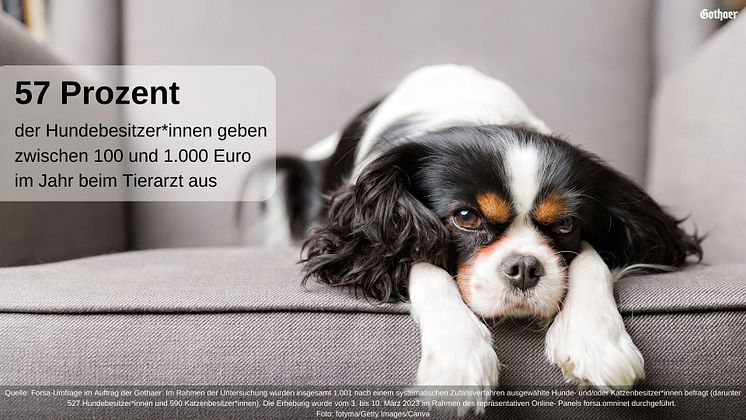 Forsa Studie Gothaer Tierkrankenversicherung Hund 