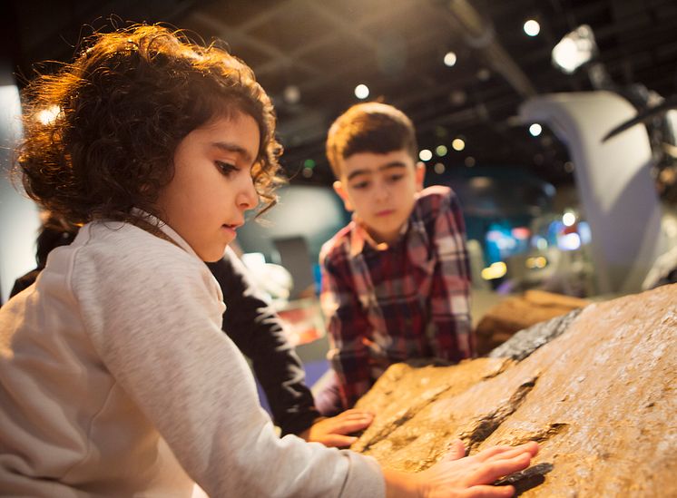 Barn känner på dinosauriefotspår