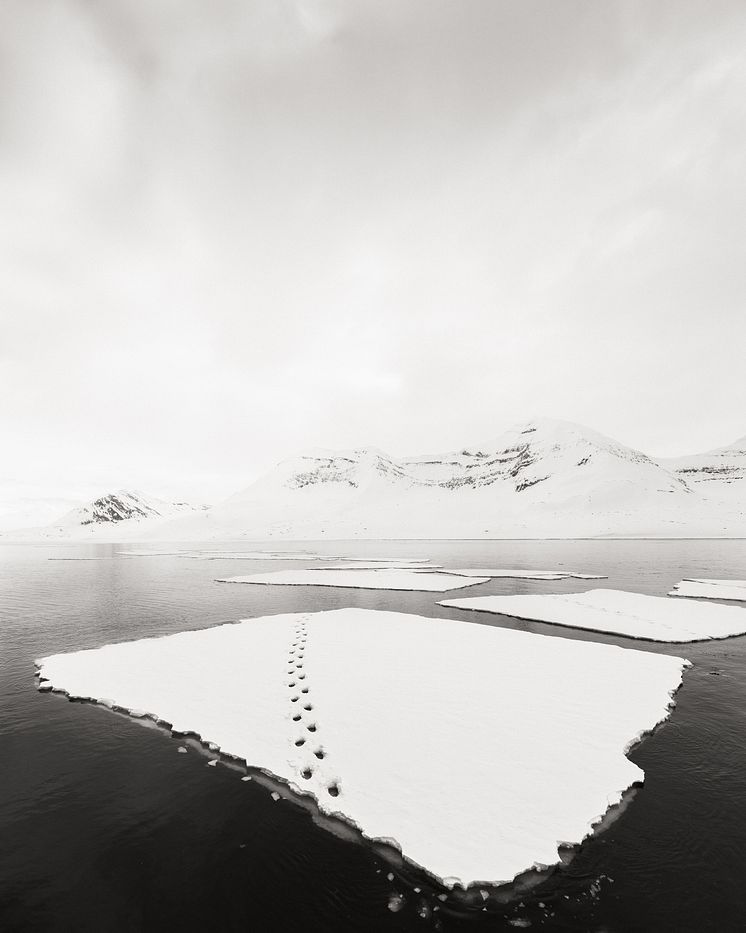 Fading Path, ur serien Arctic  Transcendence, 2024  © Jonas Paurell