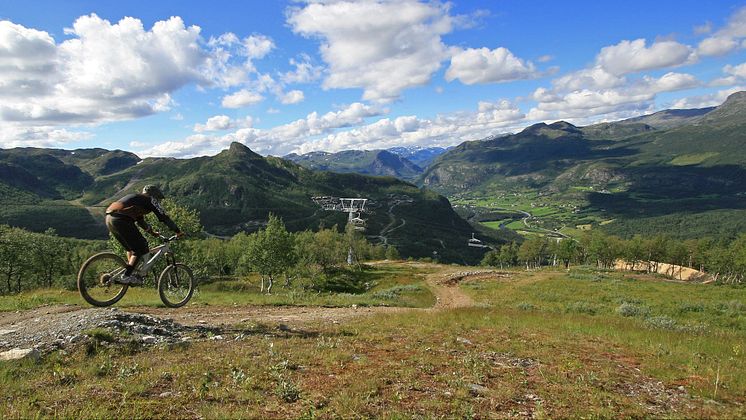 dh-sommer-hemsedal.jpg