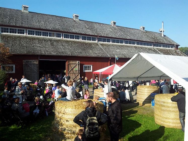 Tusentals besökare njöt av god mat och dryck foto Tjolöholms Slott