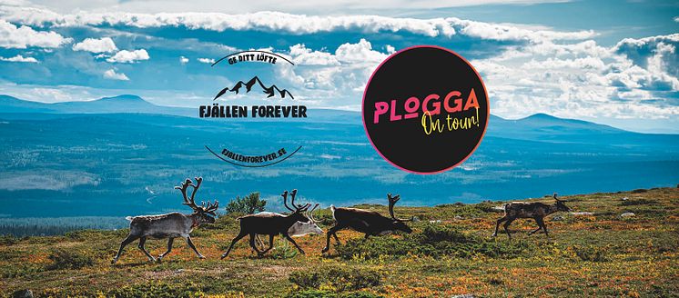 Plogga tour med Fjällen Forever (3).jpg