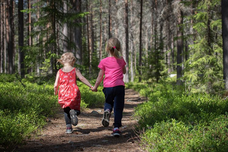 Sommar Vemdalen