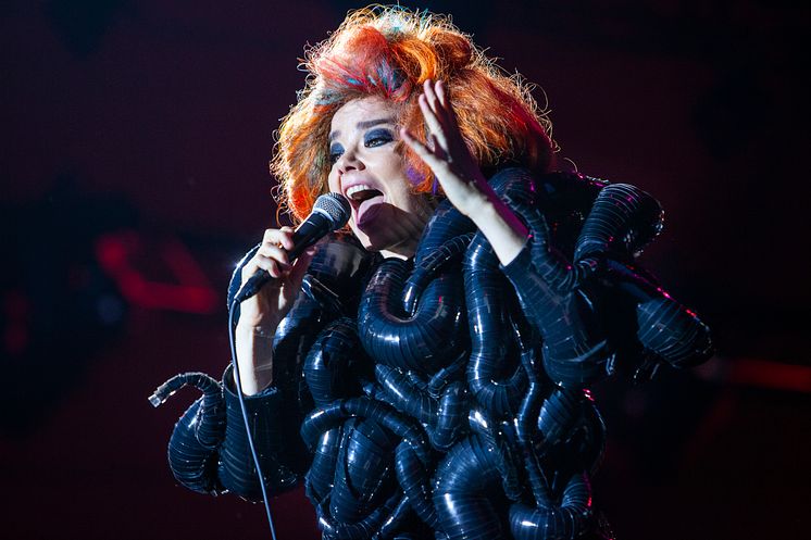 Björk_Foto Steffen Jørgensen.jpg