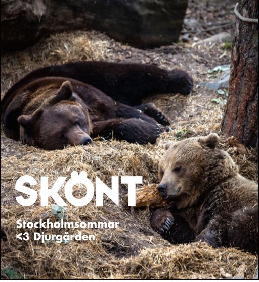 skansen.001