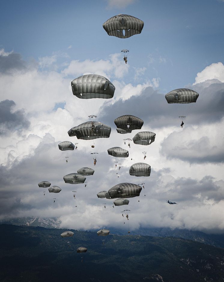173d Airborne Brigade Bild 1 FotoUS Army.jpg