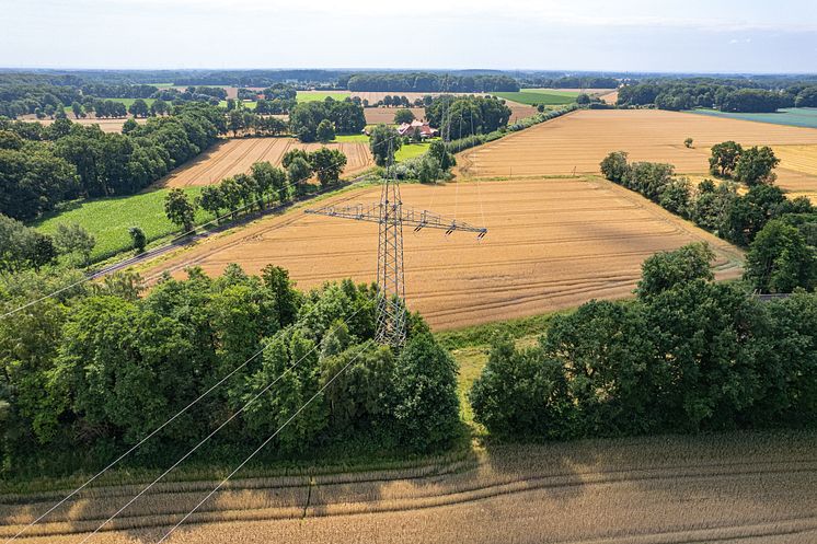 110-kV-Leitung Cloppenburg 2.jpg