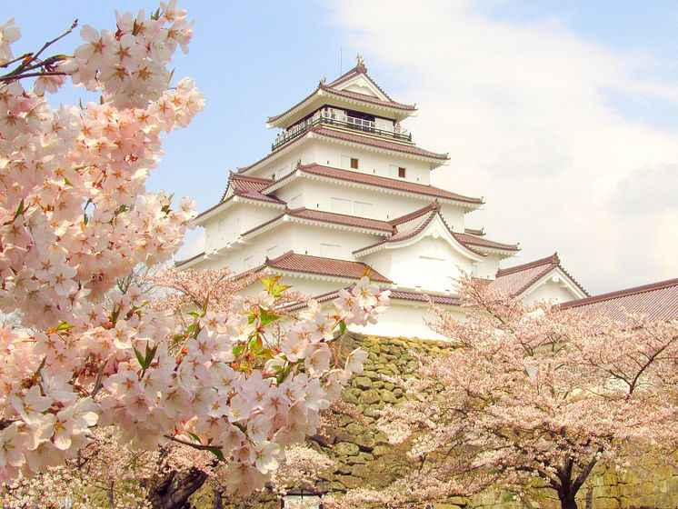 Tsurugajo Castle