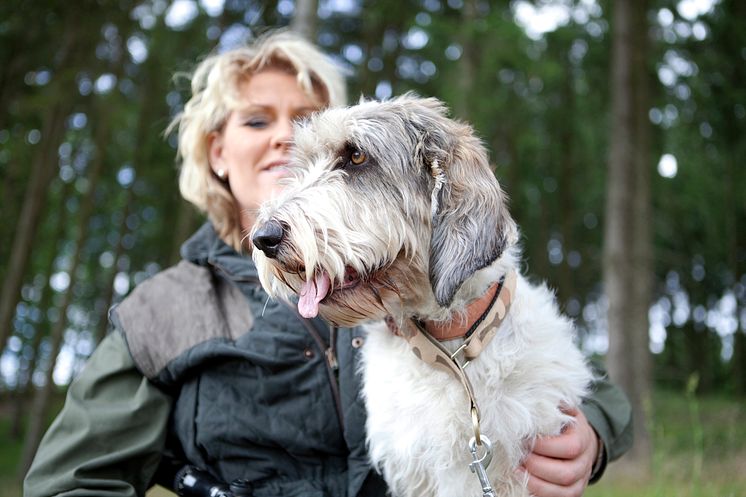 Jakthund med Pia Hansen