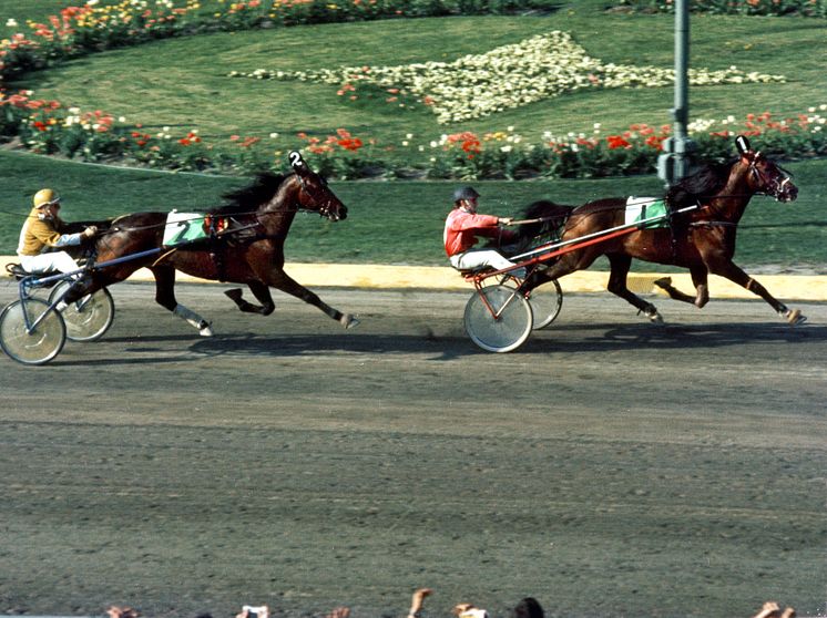 Ego Boy 1973 Elitloppet