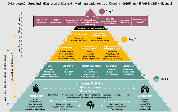 Dyspné utredningsalgoritm
