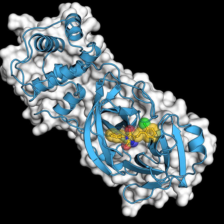 Molekyl /Molecule