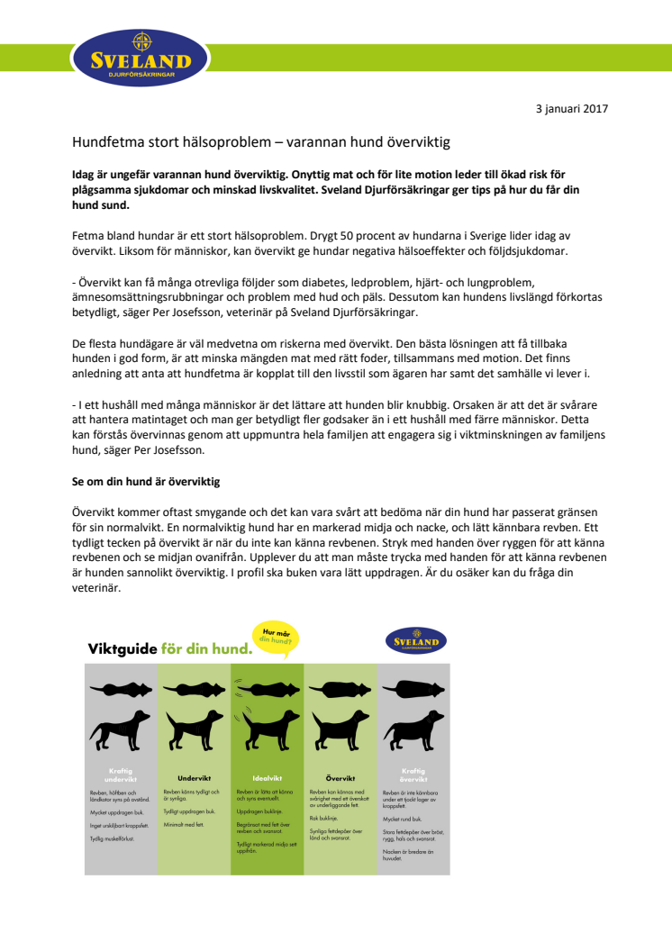 Hundfetma stort hälsoproblem – varannan hund överviktig