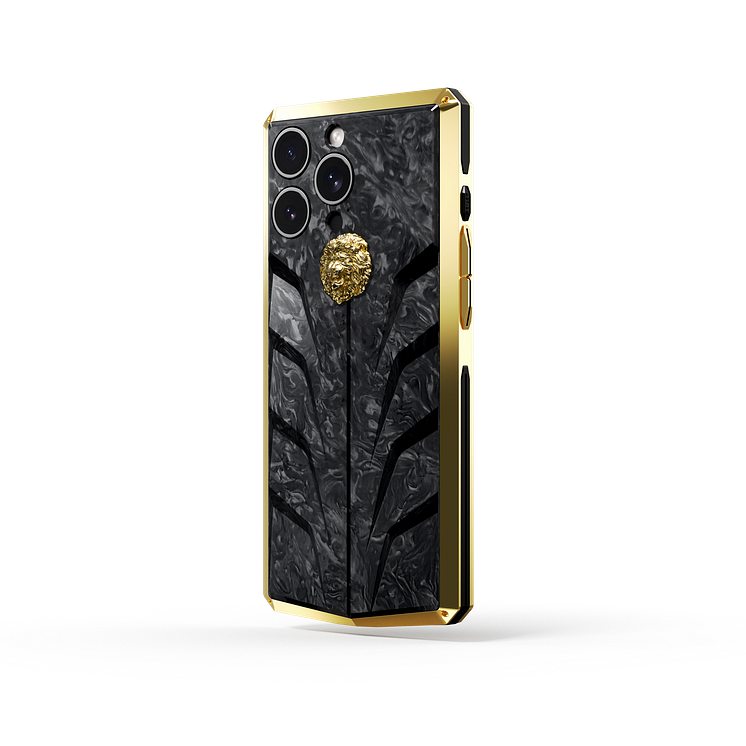 RS15.Lion-G-CFB-02-Back-2.png