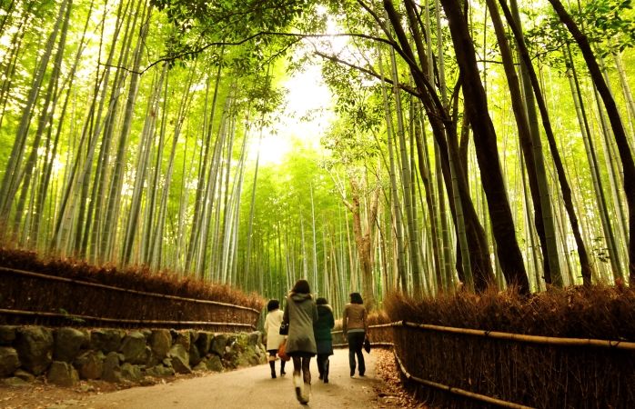 Kyoto, Japan. Foto: ajari