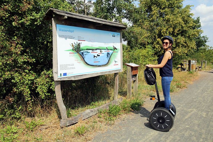 Naturlehrpfad am Grabschützer See - Segway Tour