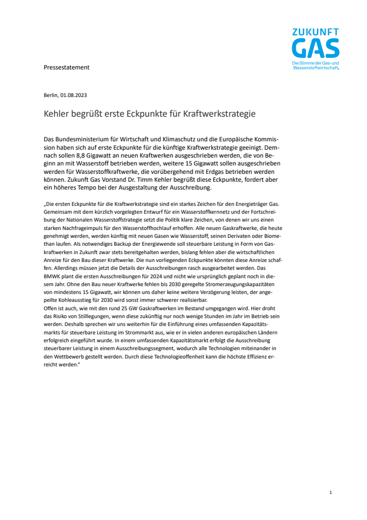 20230801_Pressestatement Kraftwerkstrategie_final.pdf
