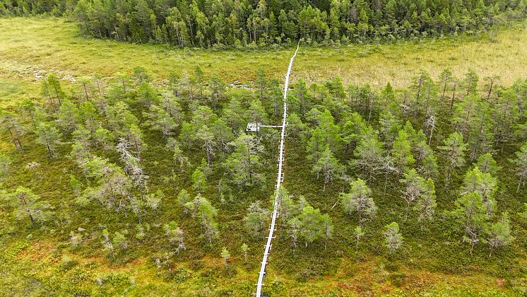 Grössjöns naturreservat