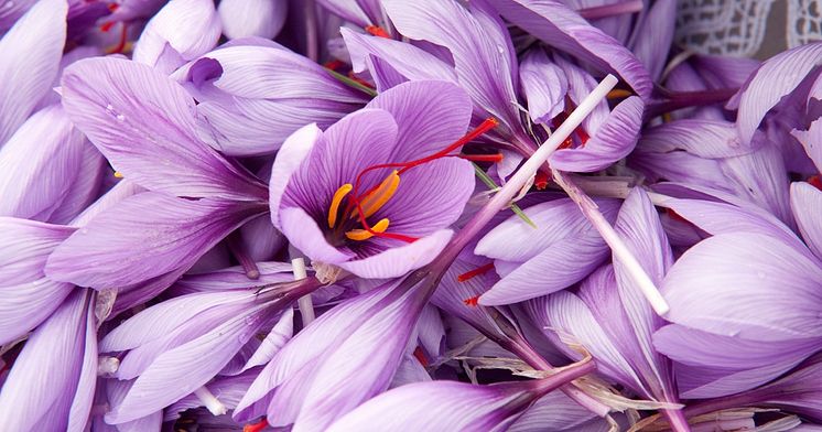 benefits-of-saffron