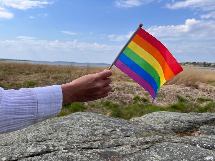 Prideflagga rågelund