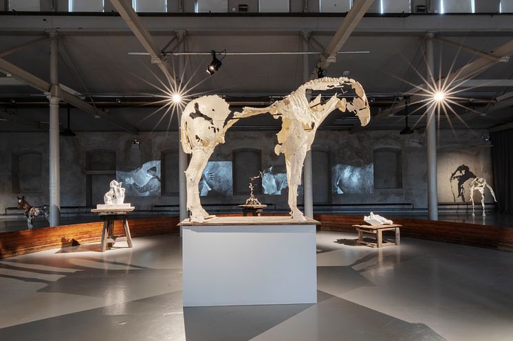 Utställningsvy Hästen, roboten ooch det omätbara, ("Cheval Blanc"), Tove Kjellmark, 2022