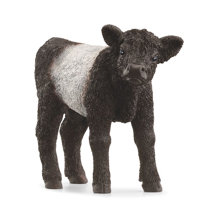 13969_Farm World_Galloway Calf (c)Schleich