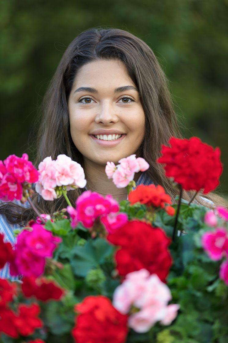 Ansikten och pelargoner