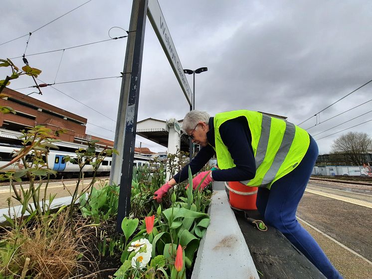 The sensory garden was created on 13 March