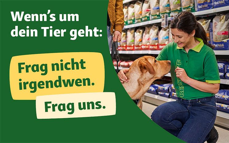 Header_993x620px_Expert_Campaign