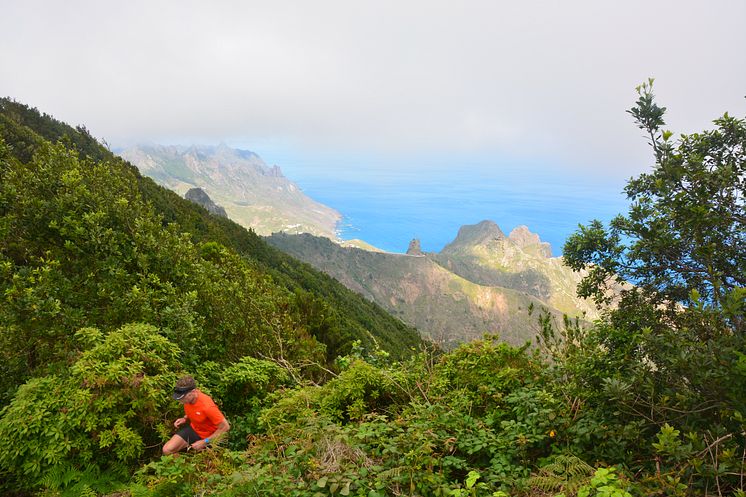 Anaga på Teneriffa