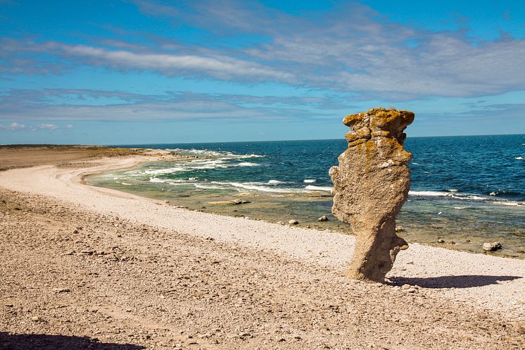 Gotland, rauk