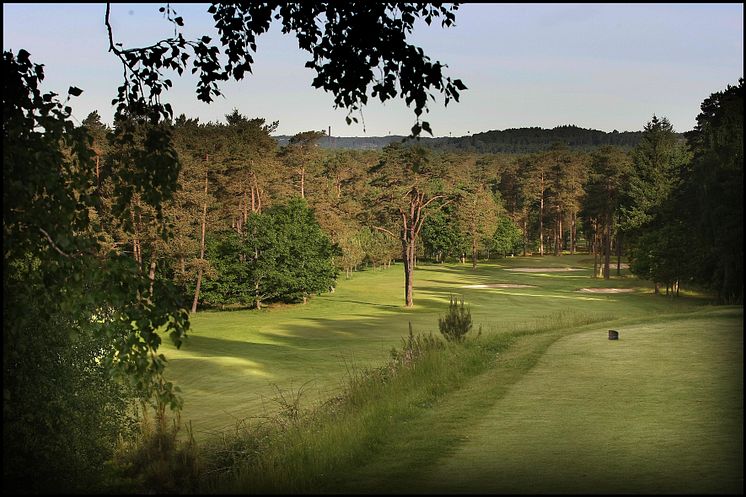 4 SRG VEST 7 a Store Bjørn - Silkeborg Ry Golfklub