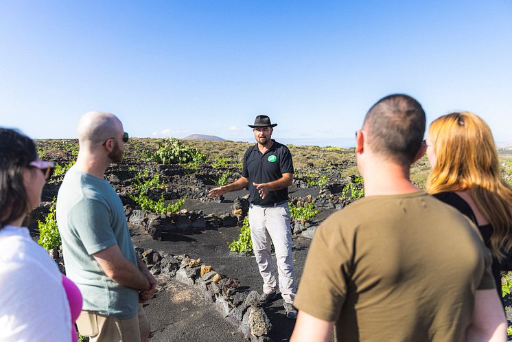 Spain_Lanzarote_La Geria vineyards