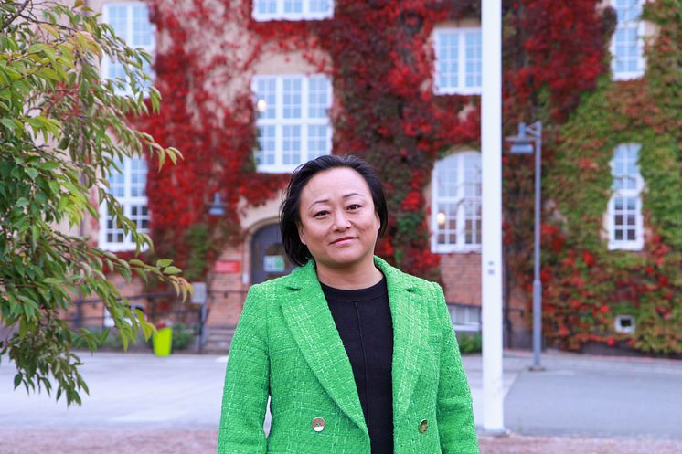 Anneli Orrung Wallin