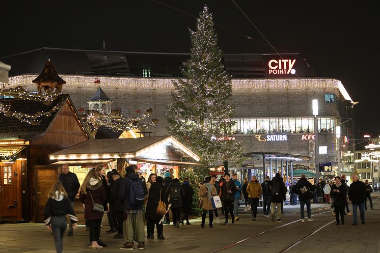 6. Weihnachtsbaum in Kassel