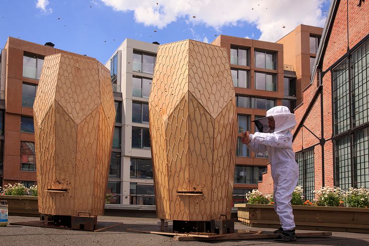 Snøhetta-designet bie-hjem på taket av Mathallen