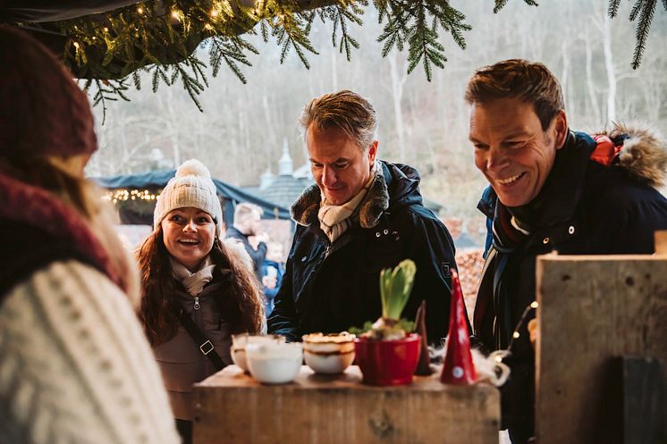 Juldrömmar på Norrvikens trädgårdar 20240.jpg